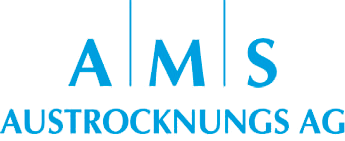 Logo AMS